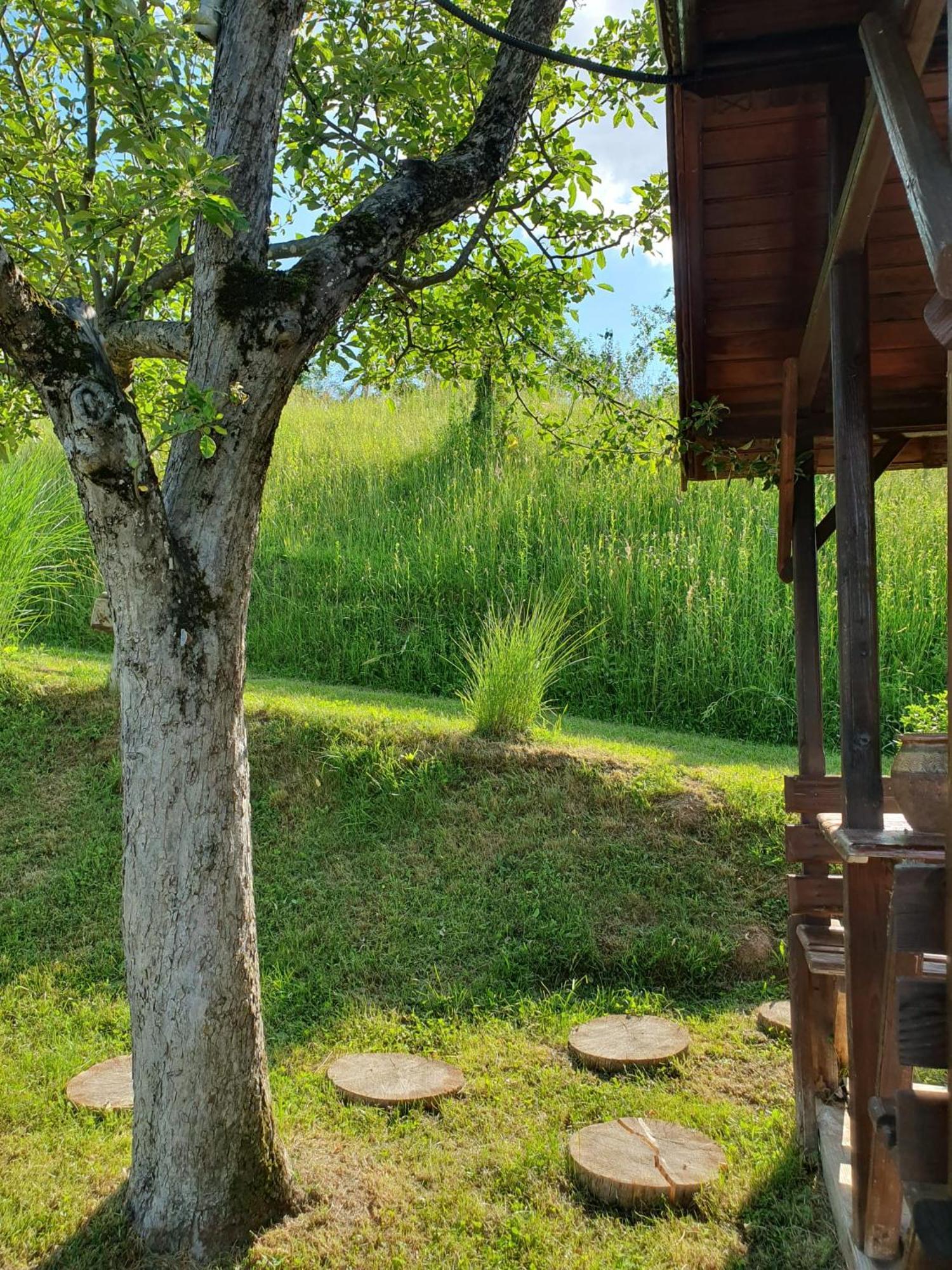 Cabana Valea Lui Mas Robaia Exterior photo