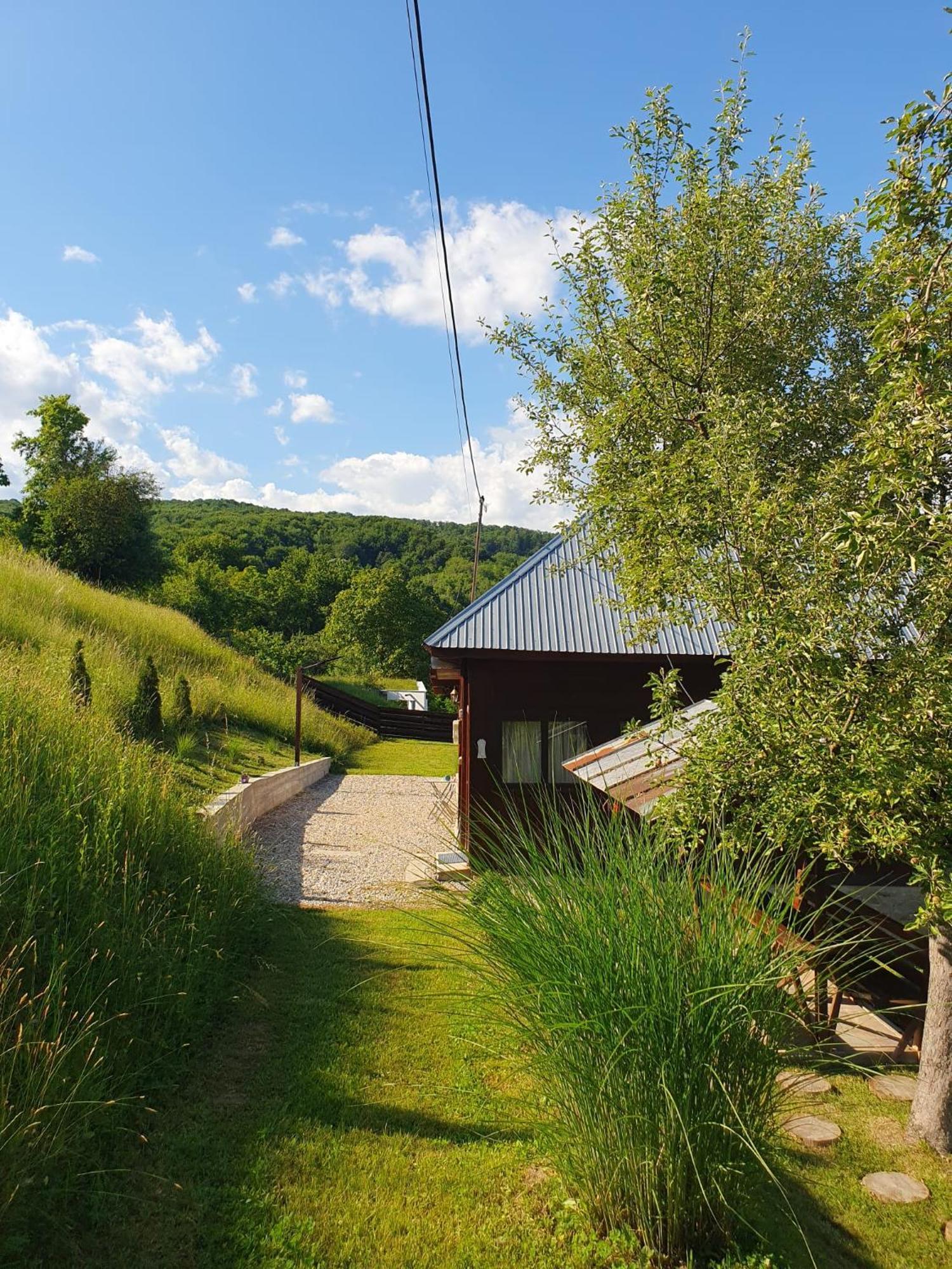 Cabana Valea Lui Mas Robaia Exterior photo