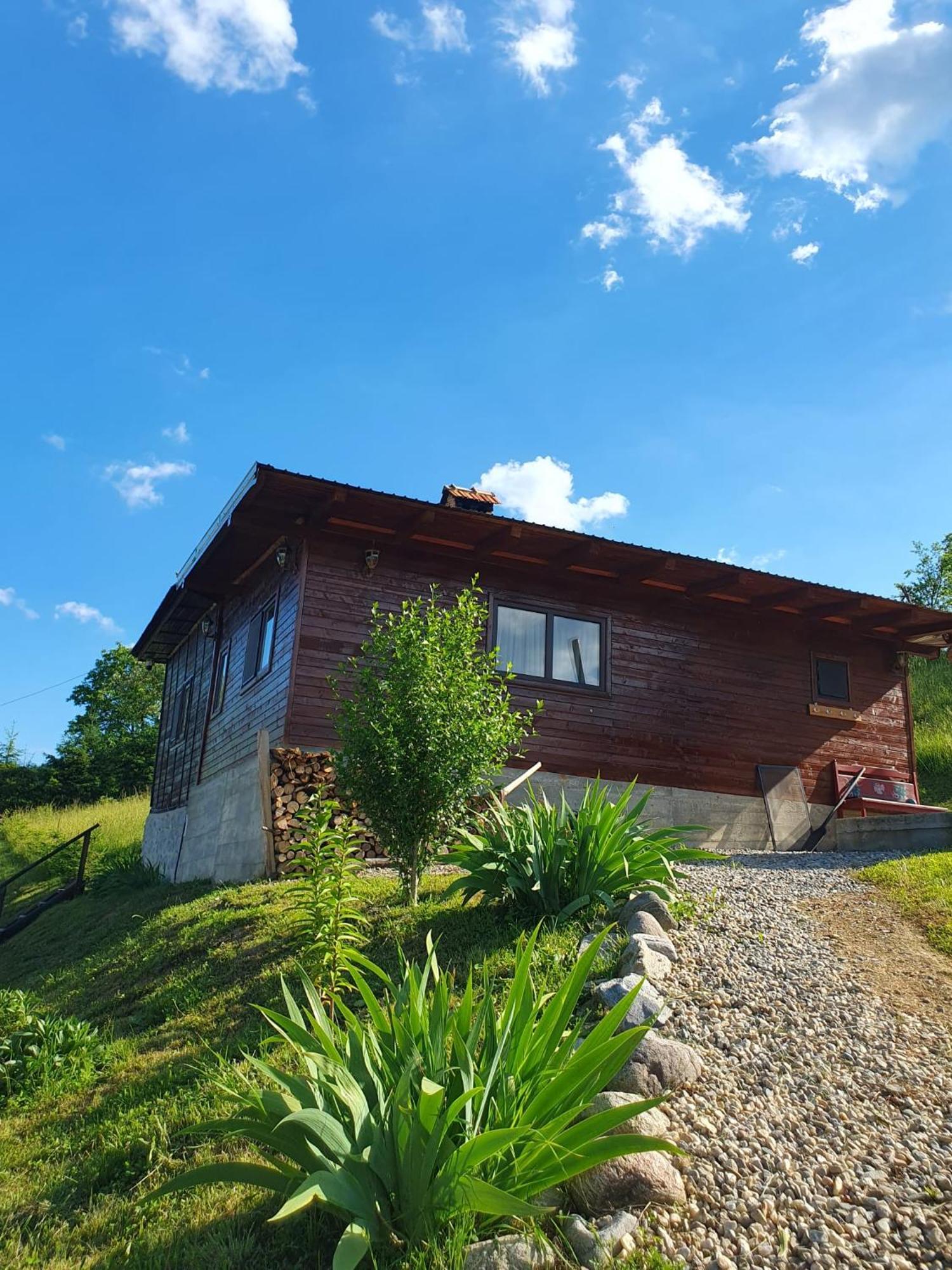 Cabana Valea Lui Mas Robaia Exterior photo